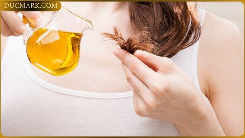 Dầu dừa và dầu oliu là những nguyên liệu thiên nhiên tuyệt vời giúp dưỡng tóc mềm mượt, chắc khỏe. Cách phục hồi tóc hư tổn: Sử dụng 2 loại dầu này thường xuyên sẽ giúp bạn cải thiện tình trạng tóc xơ rối, chẻ ngọn, gãy rụng.